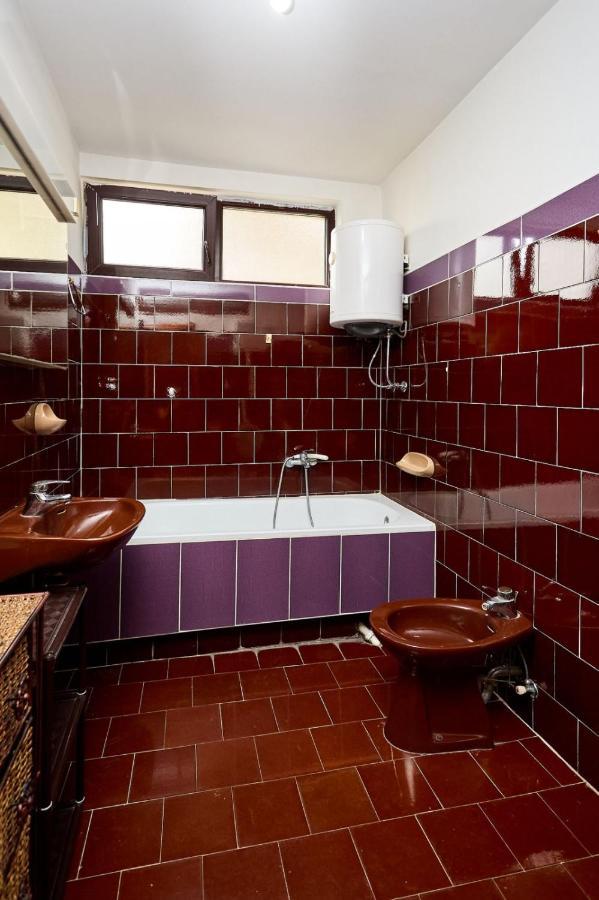 Apartmani Dr. Gasa Soko Banja Dış mekan fotoğraf