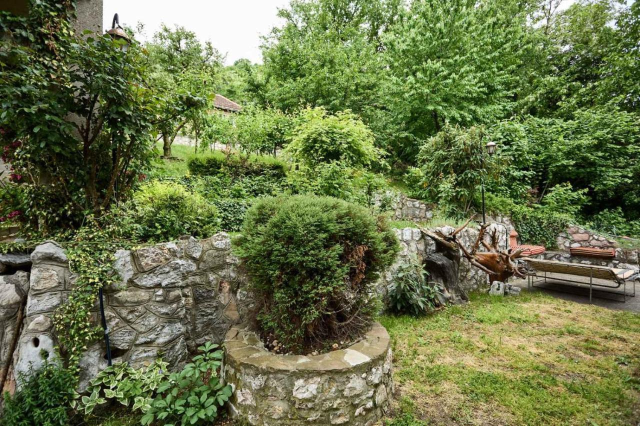 Apartmani Dr. Gasa Soko Banja Dış mekan fotoğraf